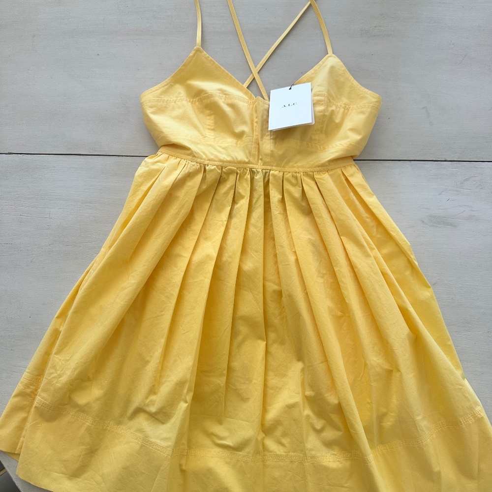 A.L.C. Leona mini dress NWT size 2